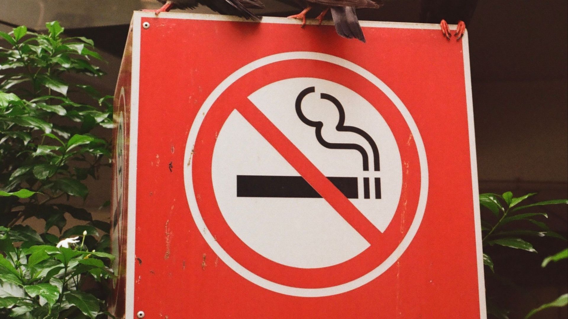 18. Ventes de tabac au Bhoutan