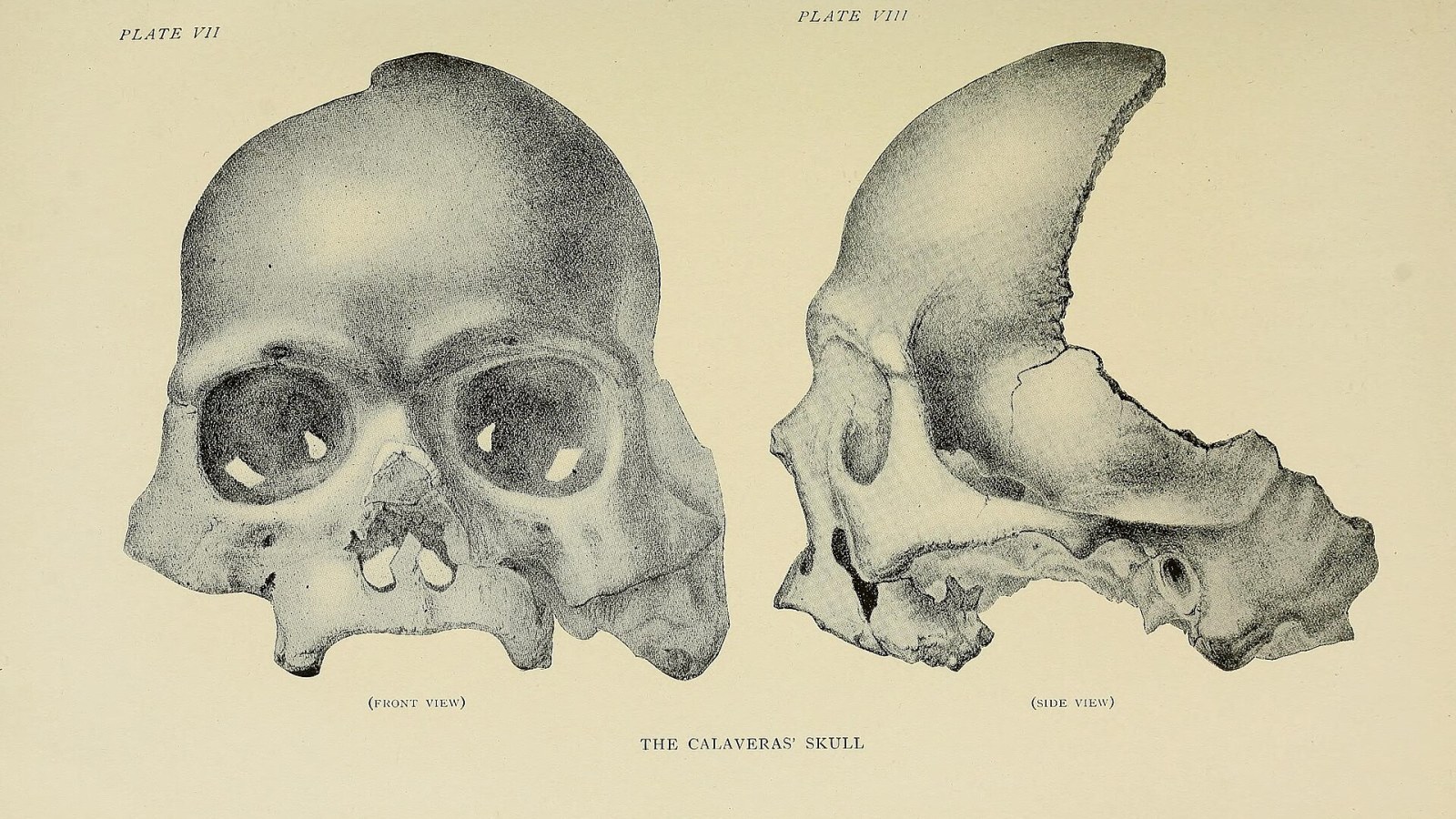 9. Josiah Whitney Staked His Career On A Faked Skull