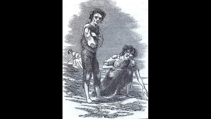 12. La famine qui a conduit à la mise au point du premier fongicide chimique