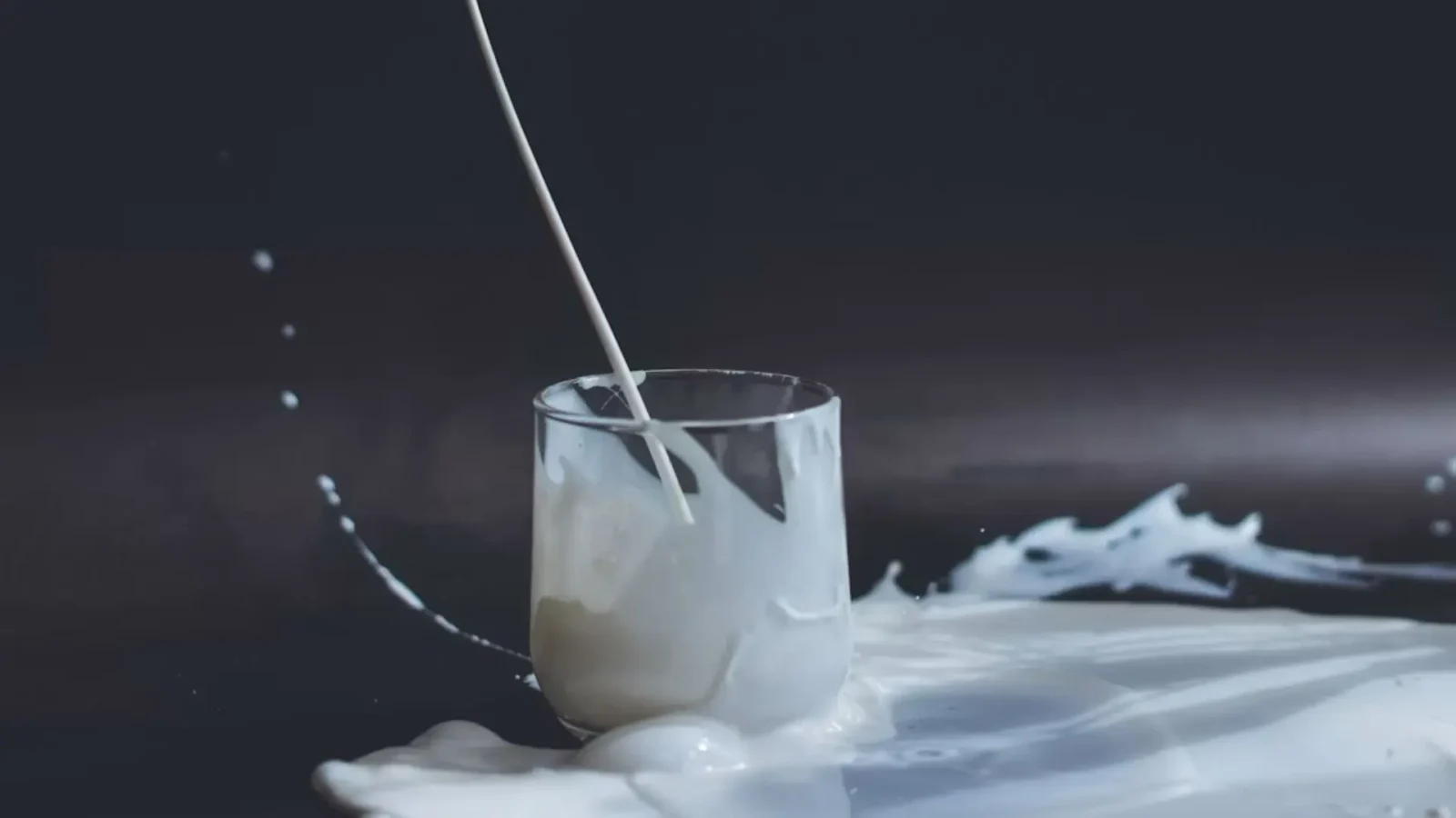 5. Si les produits laitiers ne vous conviennent pas, c'est la faute des anciens éleveurs