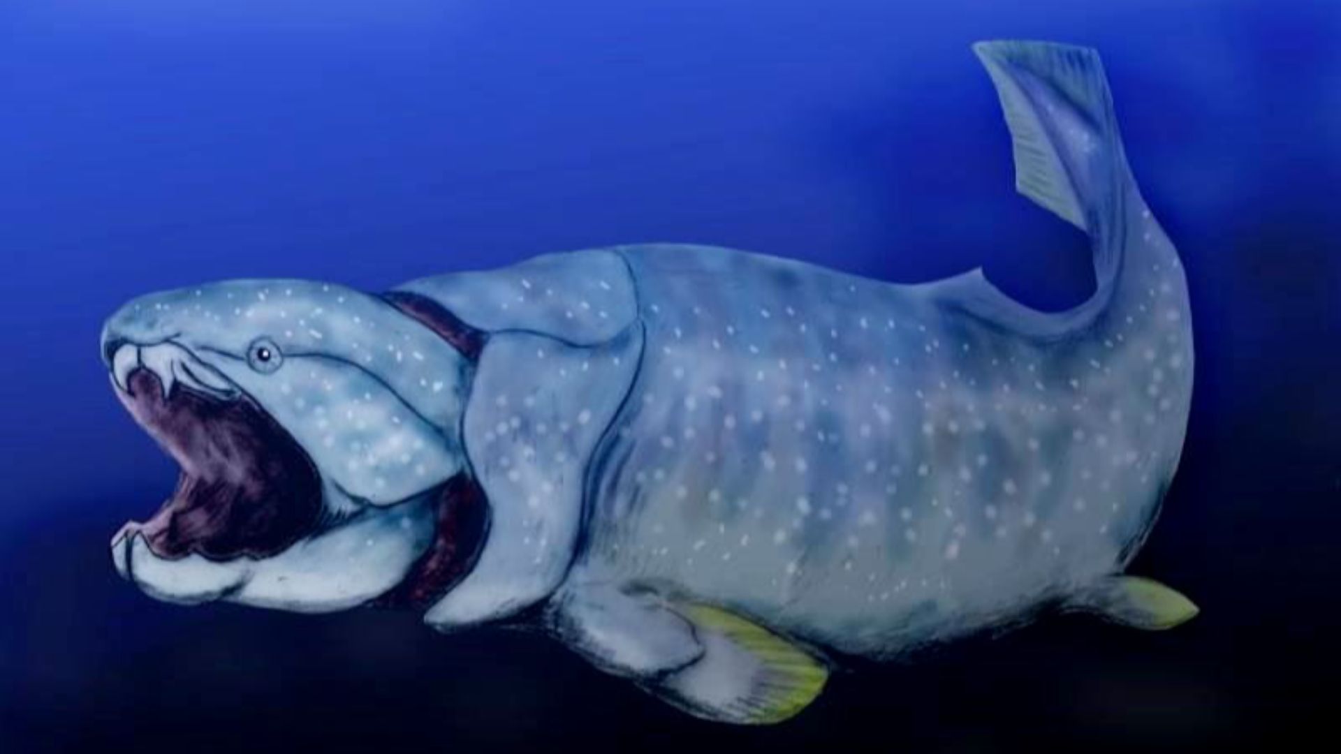 7. Le Dunkleosteus avait la taille d'un requin