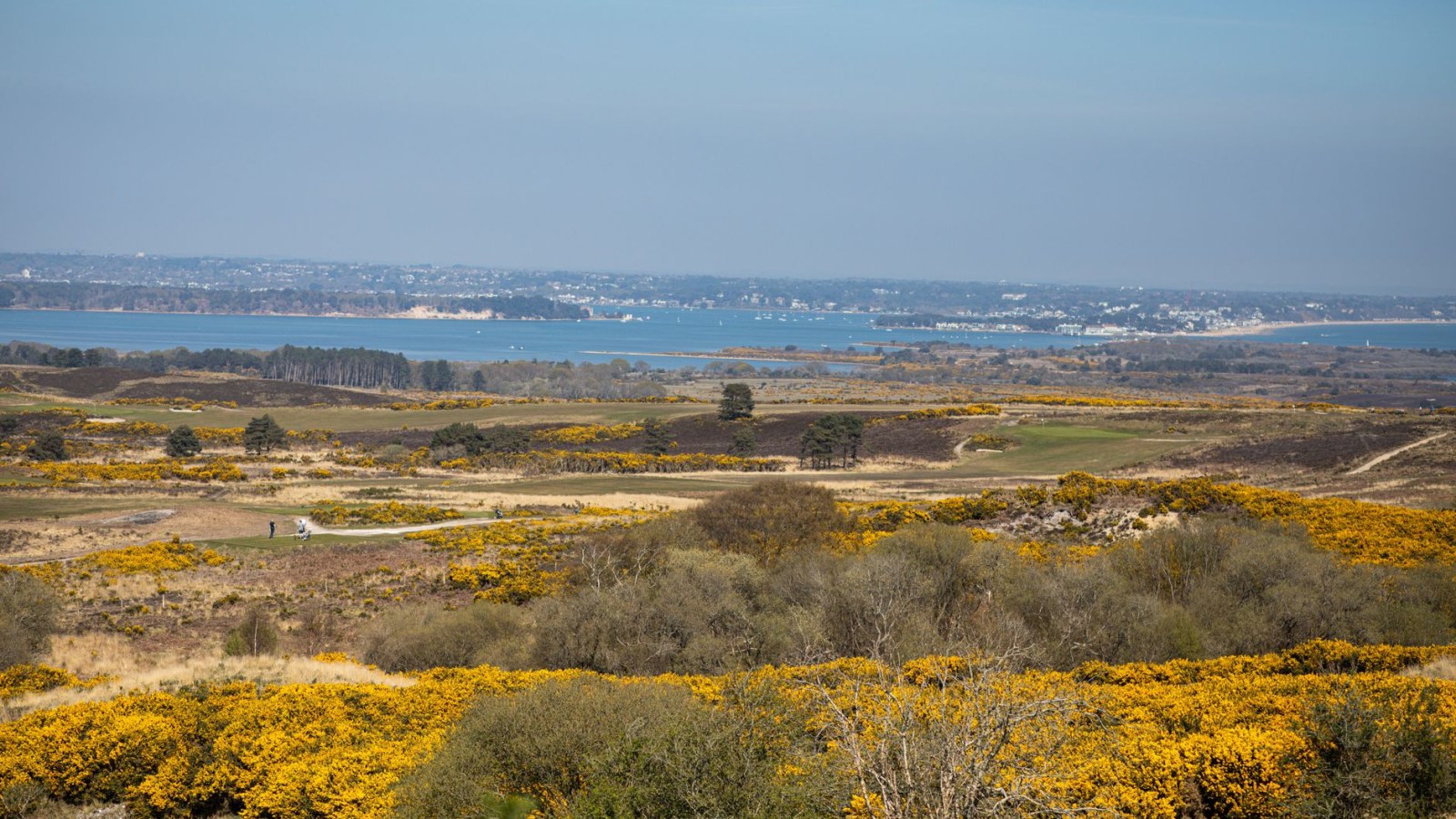 4. The Company Bought 2,200 Acres To Bury London's Dead