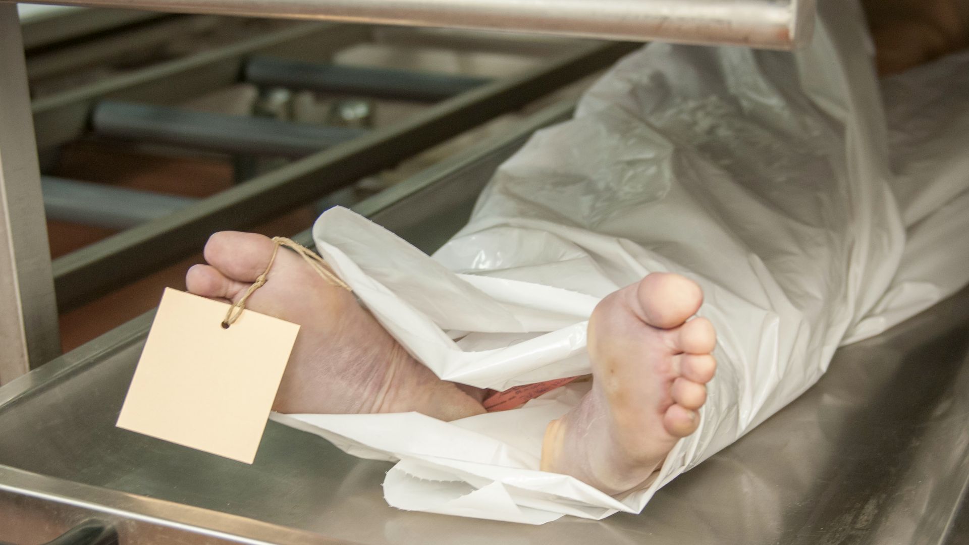 1. Attendre qu'un cadavre se mette à saigner