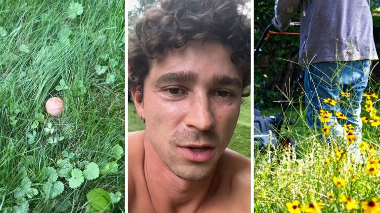 Un homme trouve une sphère étrange dans son jardin. Puis celle-ci se met à bouger: «Comment Resident Evil a commencé.»