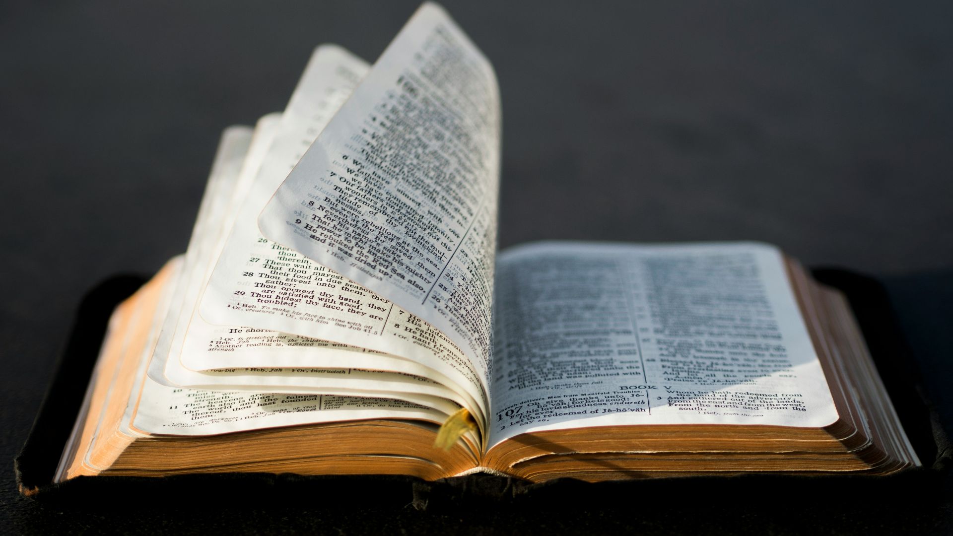 2. La Bible prédit l'avenir