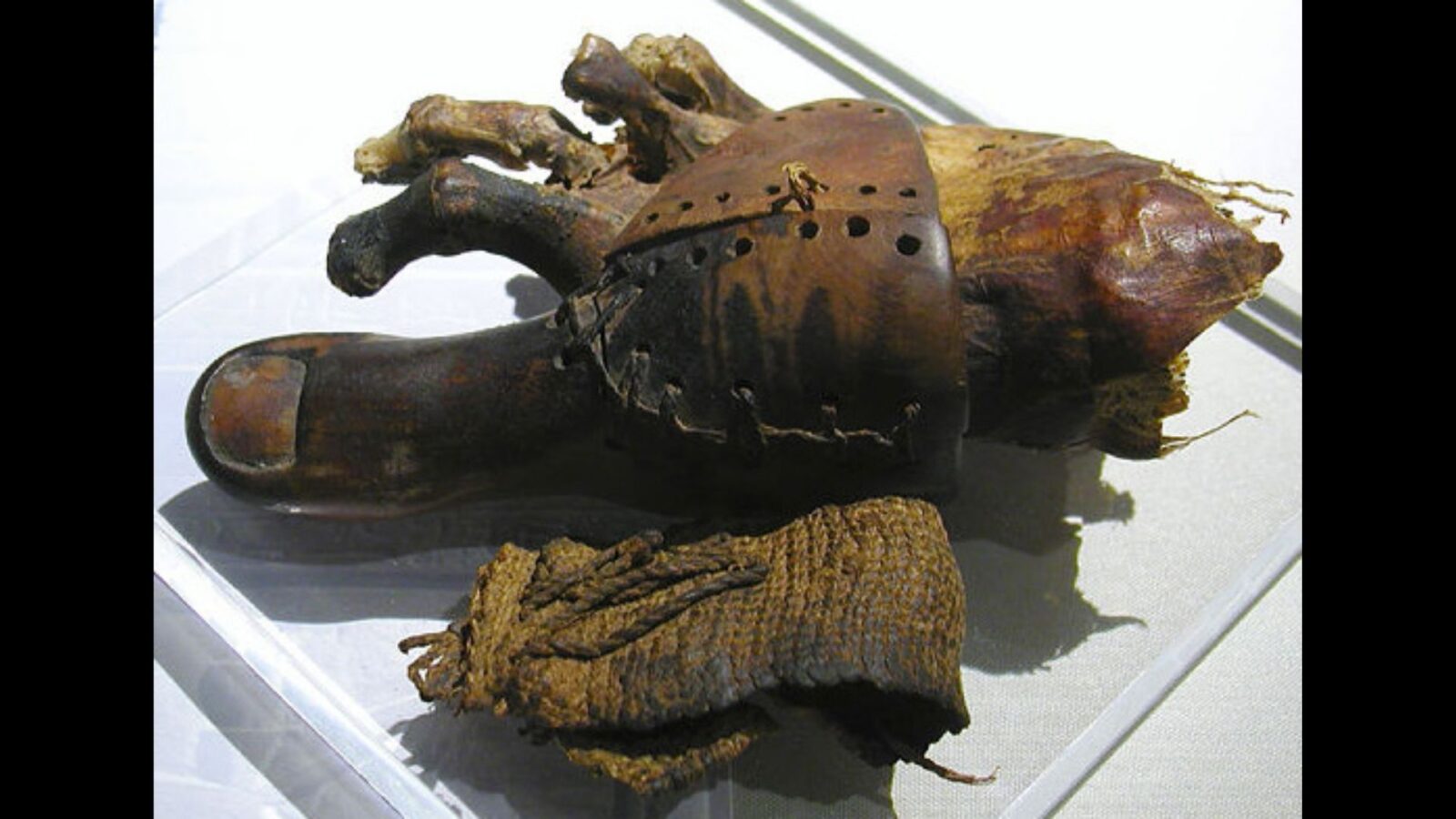 20. Une femme de l'Égypte antique a recommencé à marcher grâce à un orteil en bois