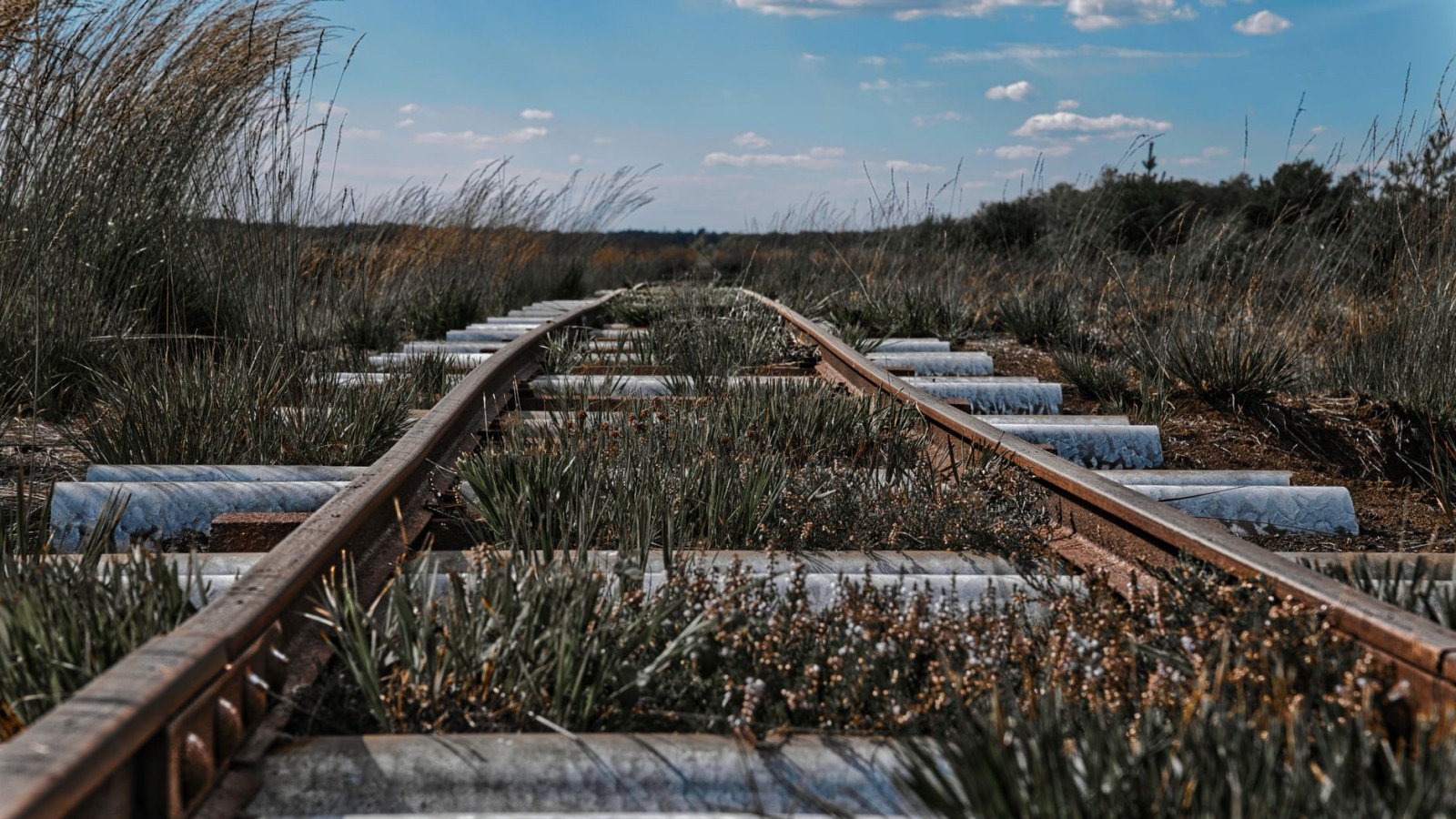 19. The Board Chose Roads Over Rebuilding The Railway
