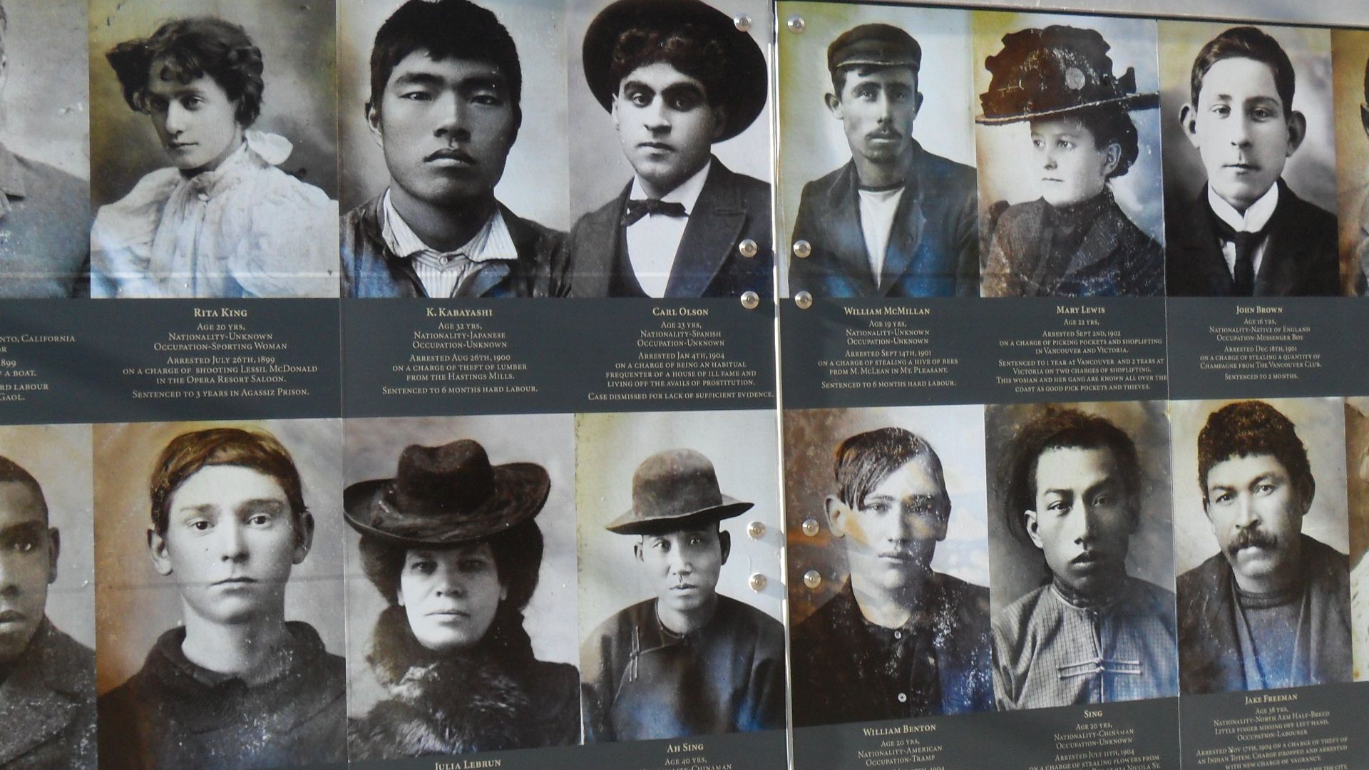 15. Comparaison des suspects avec les premières collections de photos d'identité judiciaire
