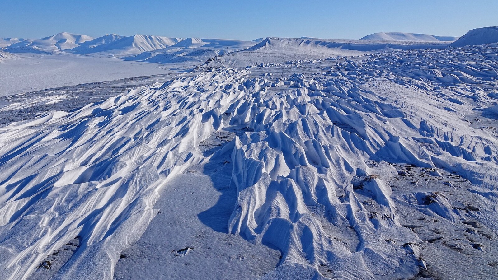11. Les chasseurs inuits interprètent les crêtes de neige sculptées par le vent à l'aide de leurs pieds