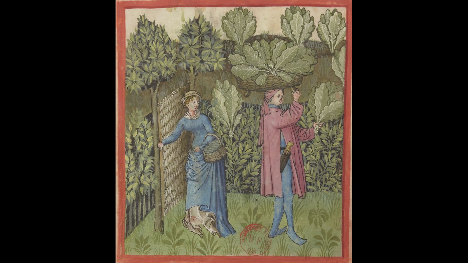 13. Caboches In Potage: Cabbage Turned Golden With Saffron