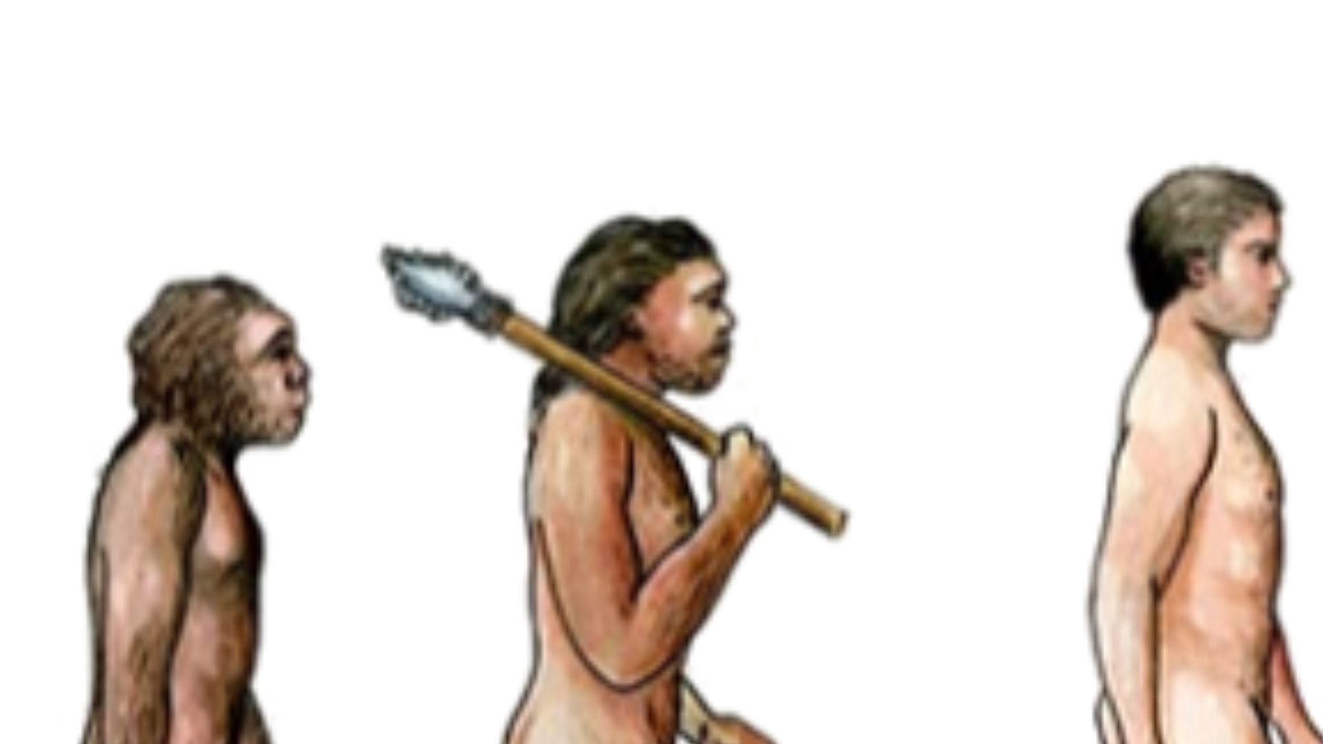 18. Les humains de l'Antiquité grandissaient au même rythme que les humains d'aujourd'hui