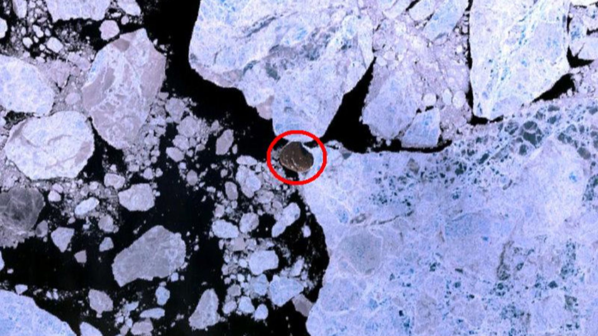 1. L'île Hans