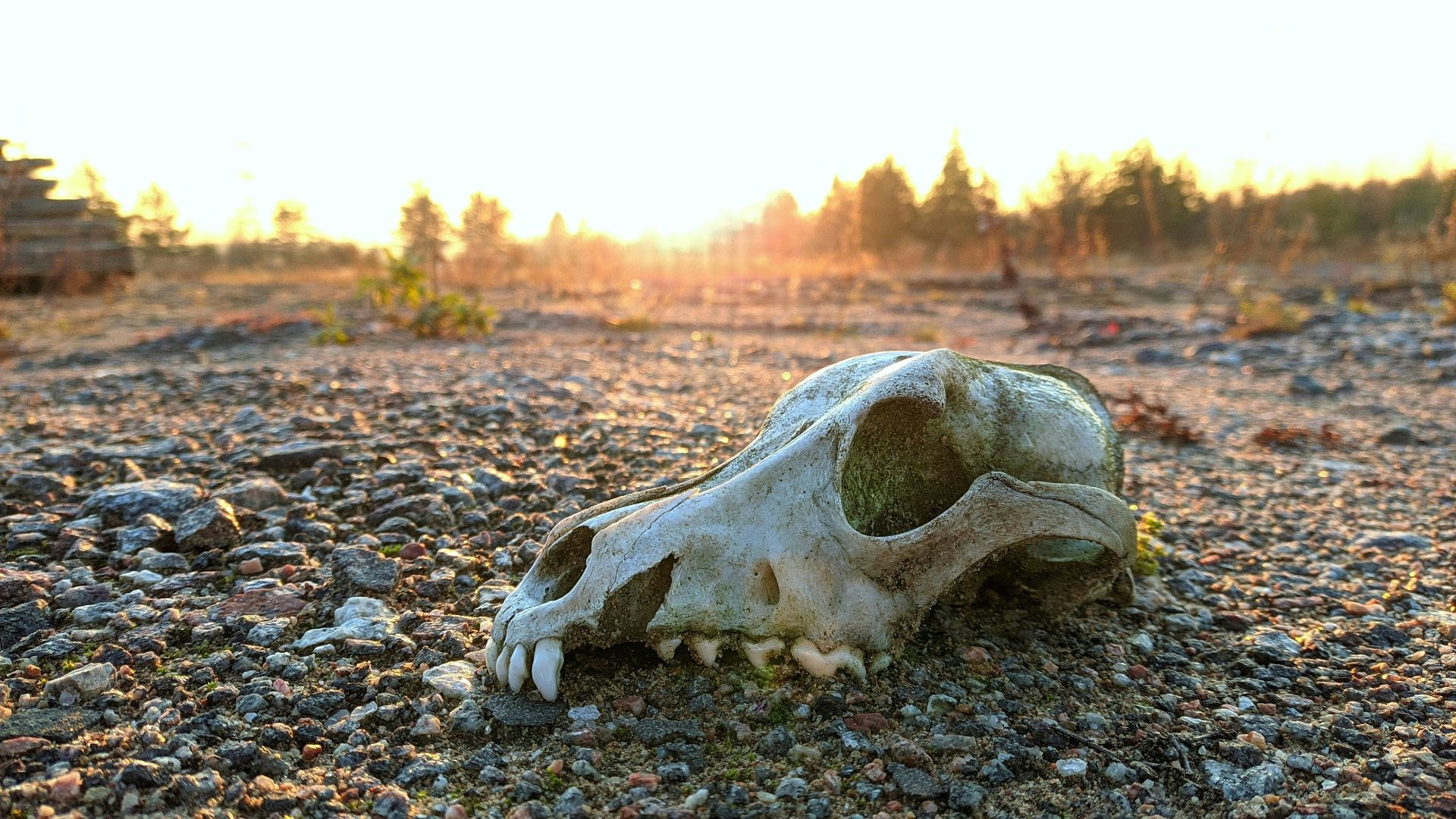 20 Times the World Almost Came to an End