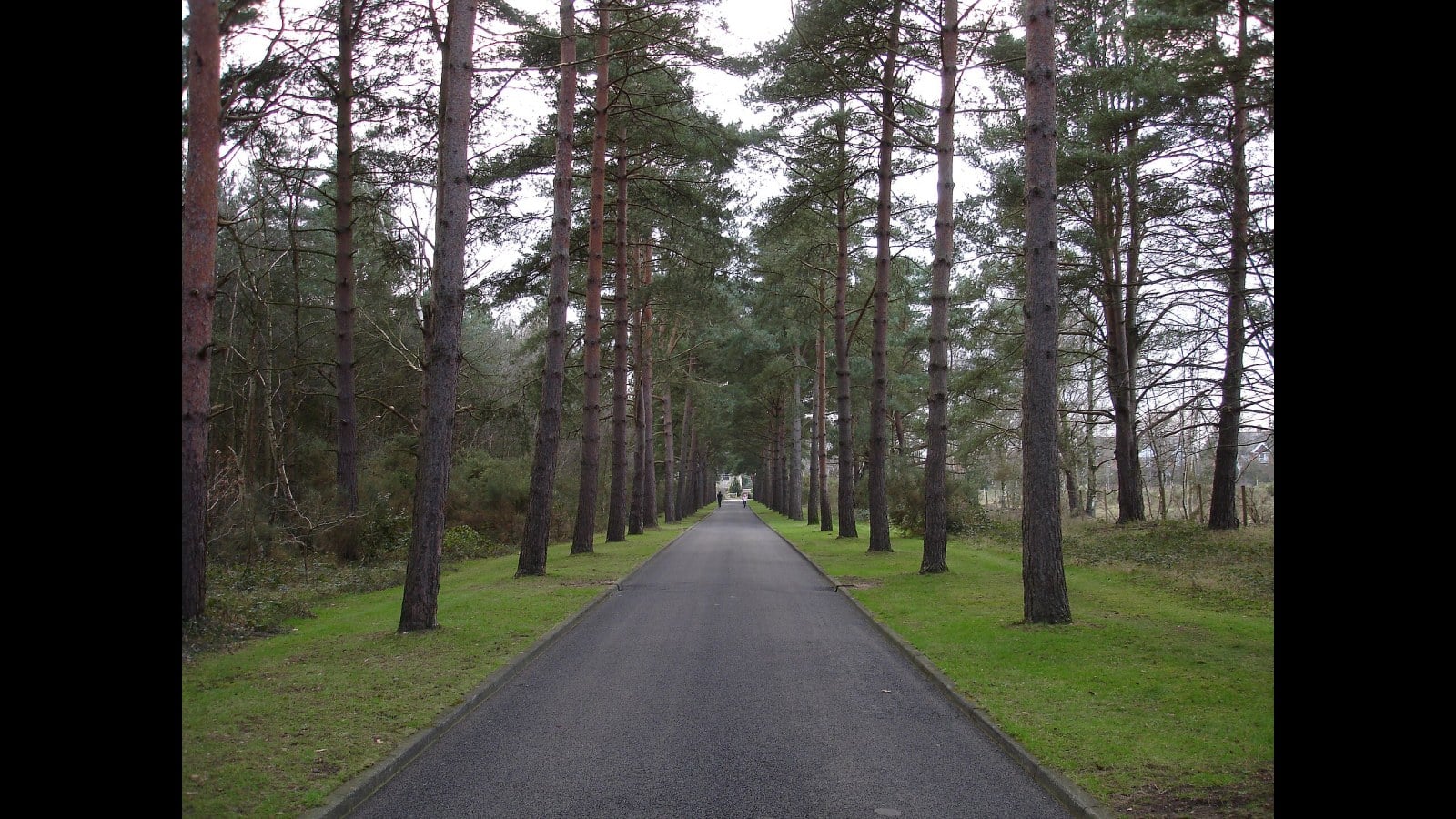 5. Brookwood Was Planted To Feel Like Perpetual Spring