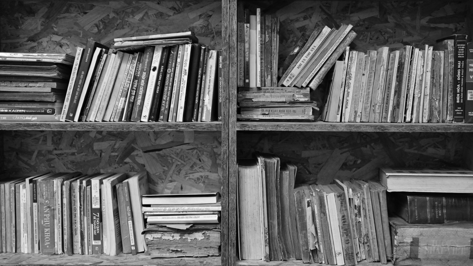 20. No Single Night Destroyed The Library