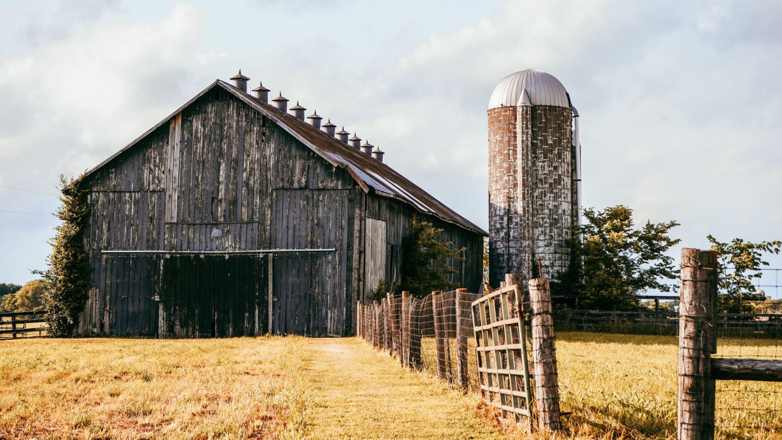 1. DeWitt Wallace met sa grande idée à l'épreuve avec une brochure agricole