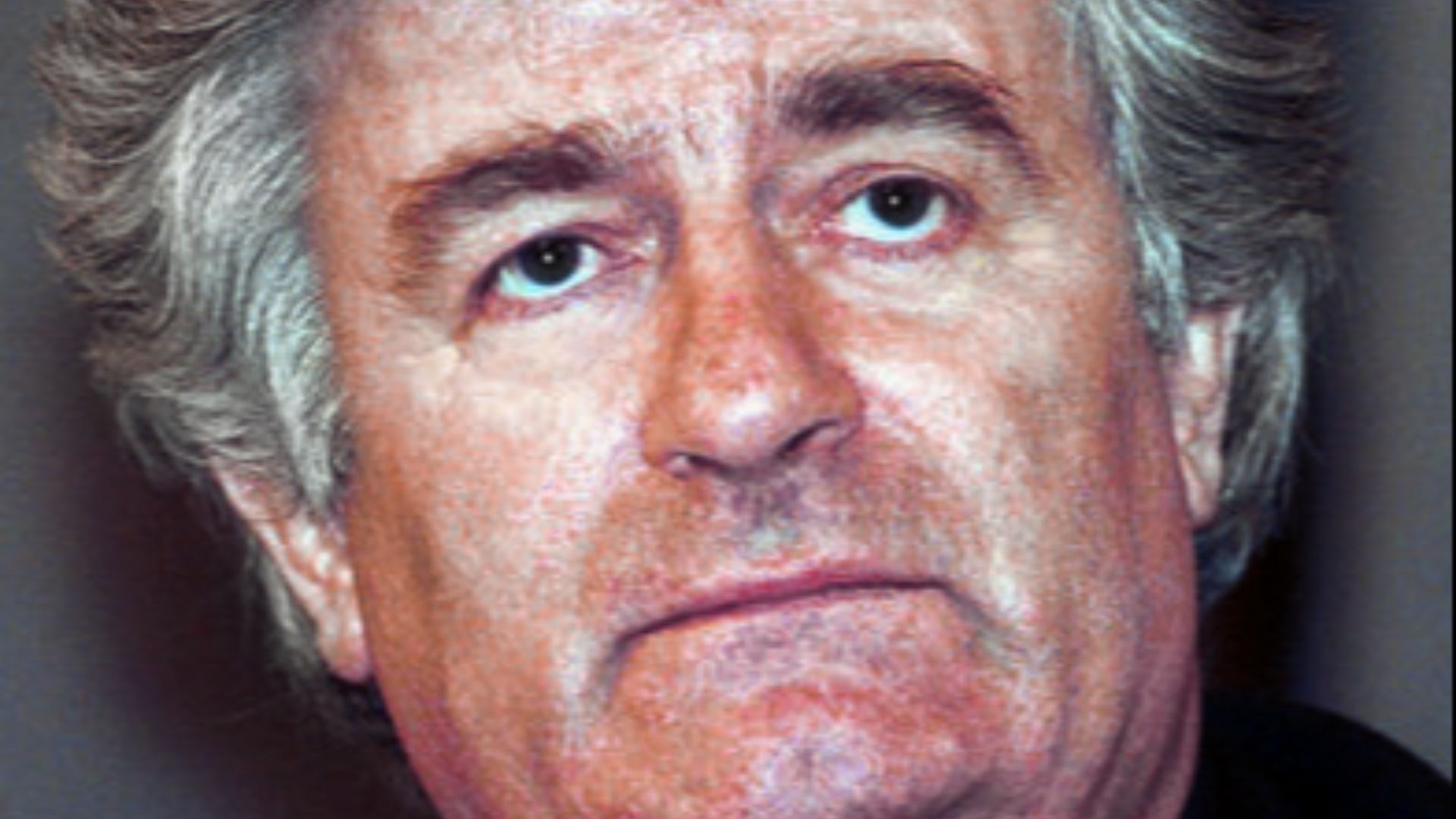 9. Radovan Karadžić, poète publié