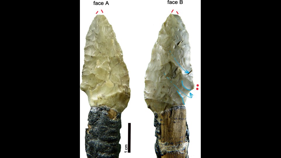 1. La véritable couleur de peau d'Ötzi, l'homme des glaces, a surpris tout le monde