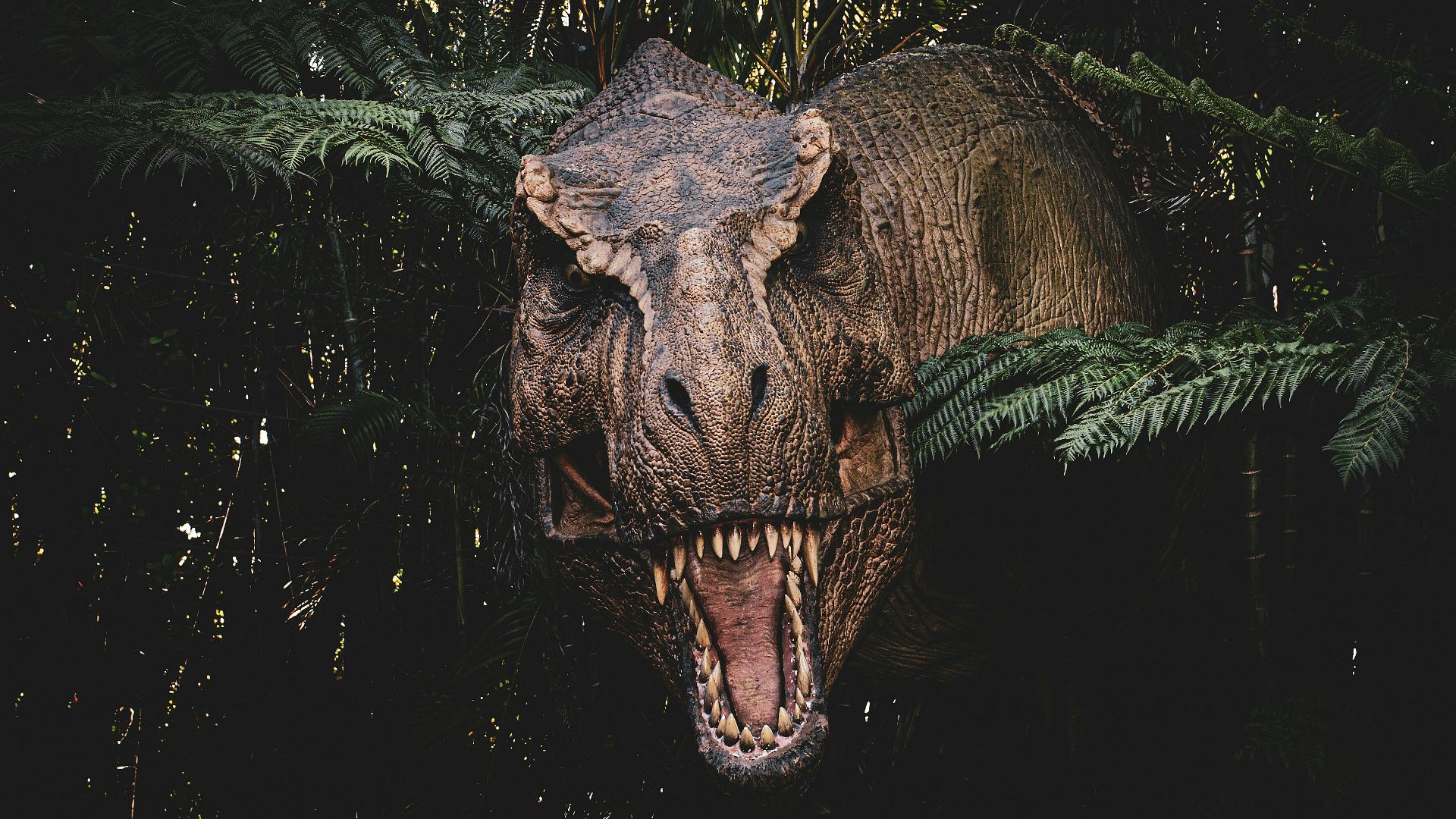 10. Le Tyrannosaurus rex mordait avec une force d'environ 8 000 livres
