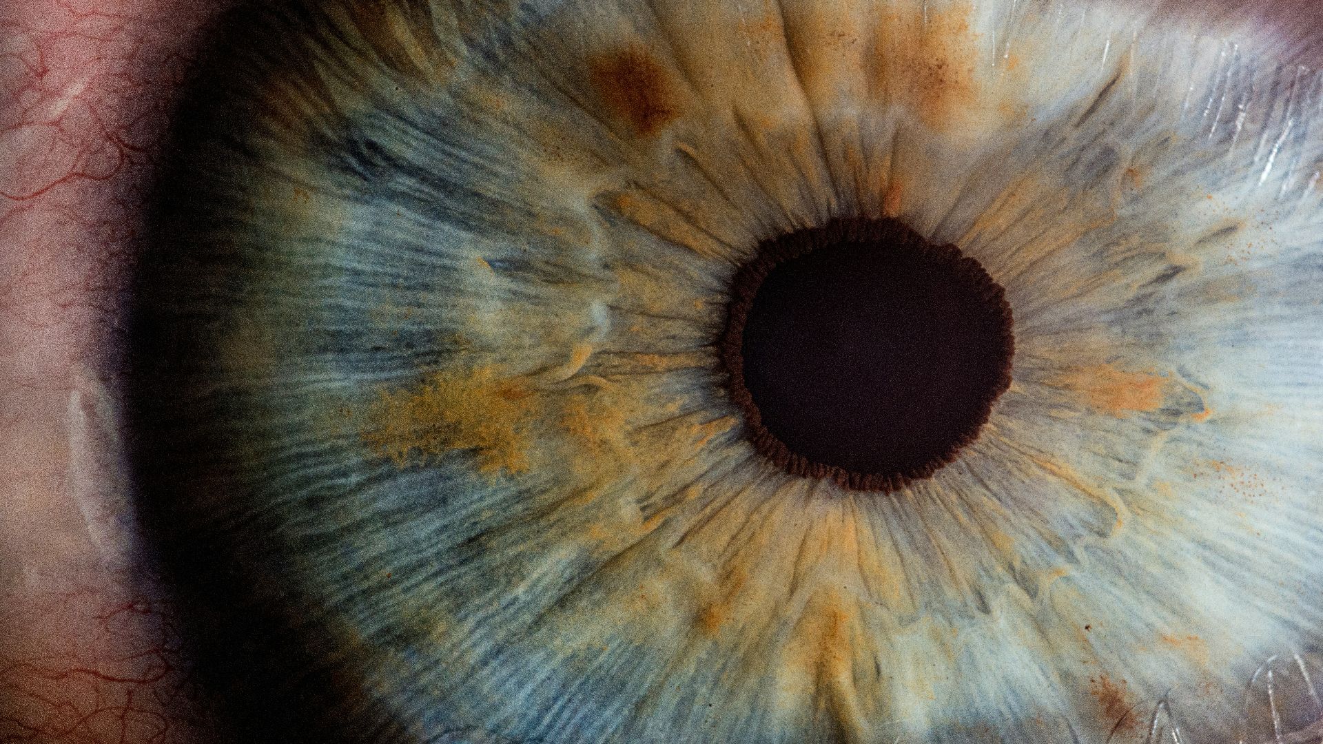 5. À la recherche du visage du meurtrier dans les yeux de la victime