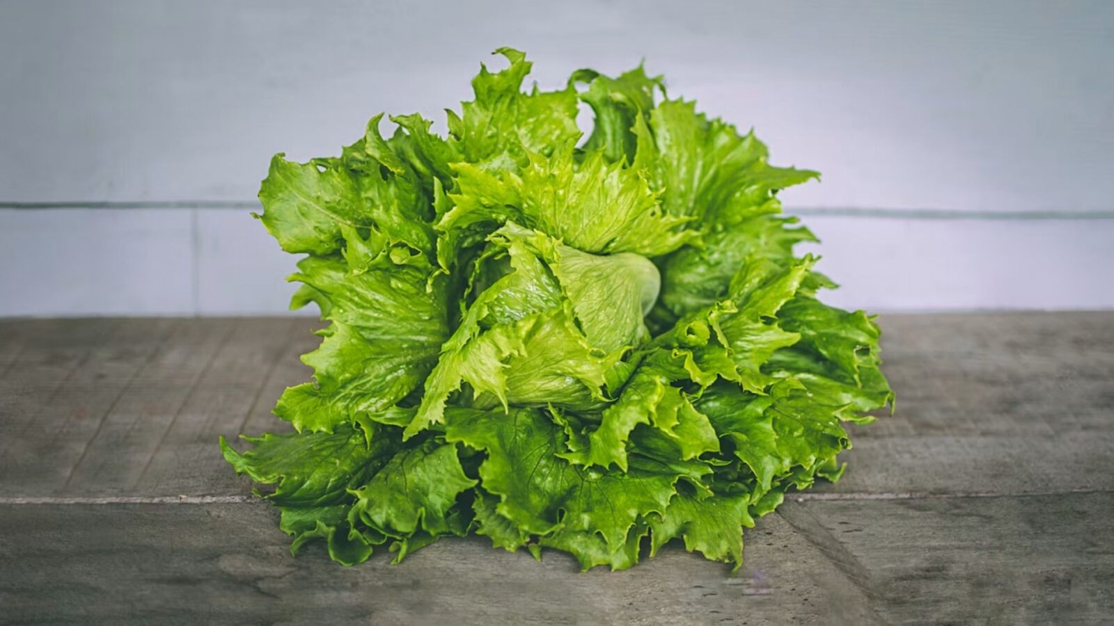 15. Why Kosher Lettuce Gets Checked Under A Light Table