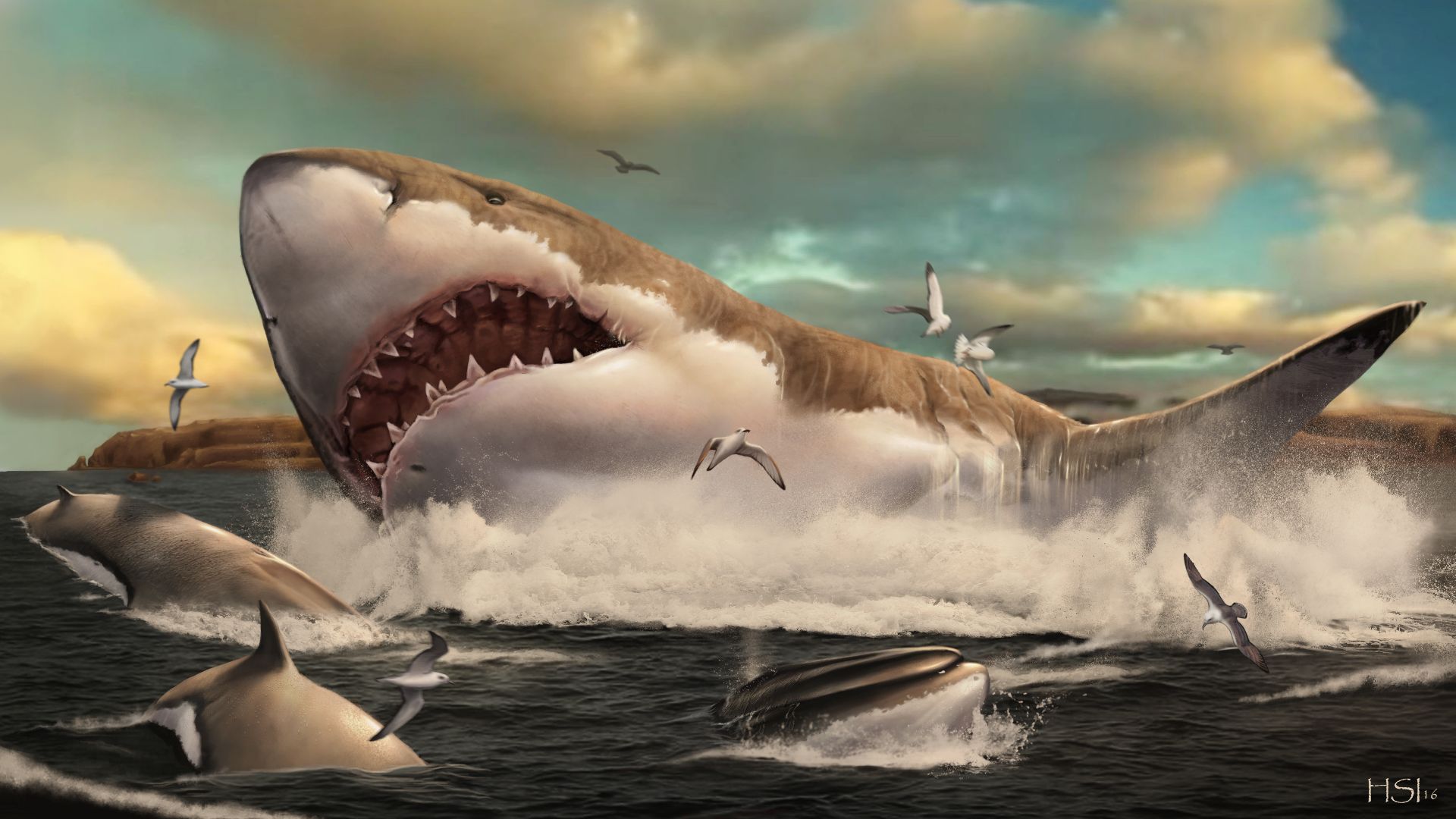 13. Des traces de morsures du mégalodon sur des os de baleine