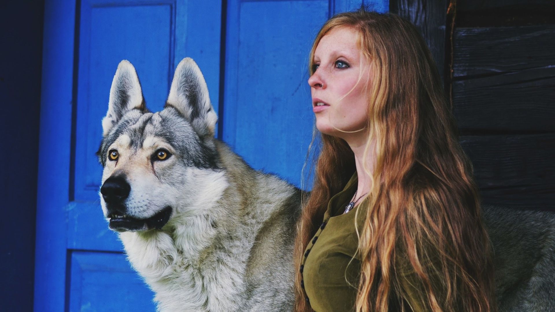 20 faits sur le loup géant, encore plus incroyables que la légende
