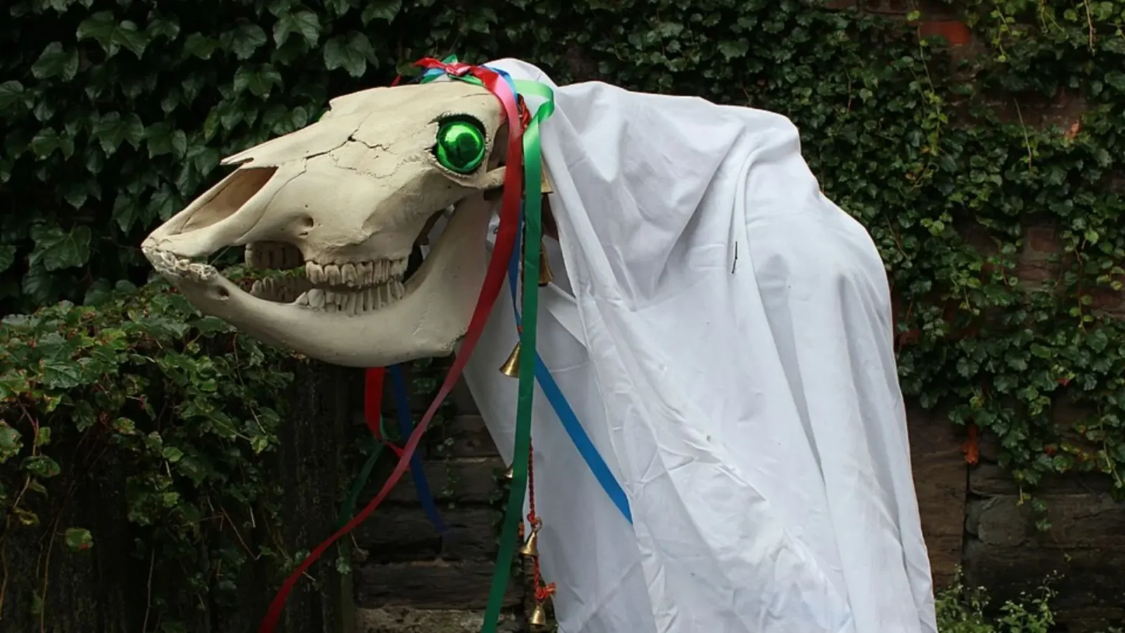 6. Un crâne de cheval a échangé des insultes devant les portes galloises à l'occasion de la fête de Mari Lwyd