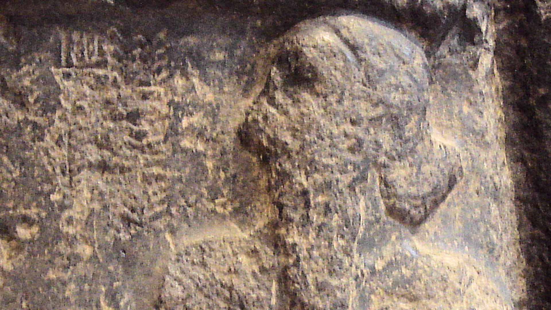 6. Sargon d'Akkad