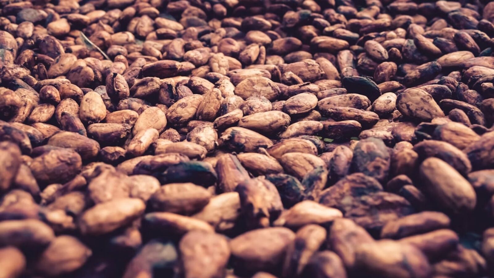 5. Les acheteurs aztèques payaient avec la matière première du chocolat