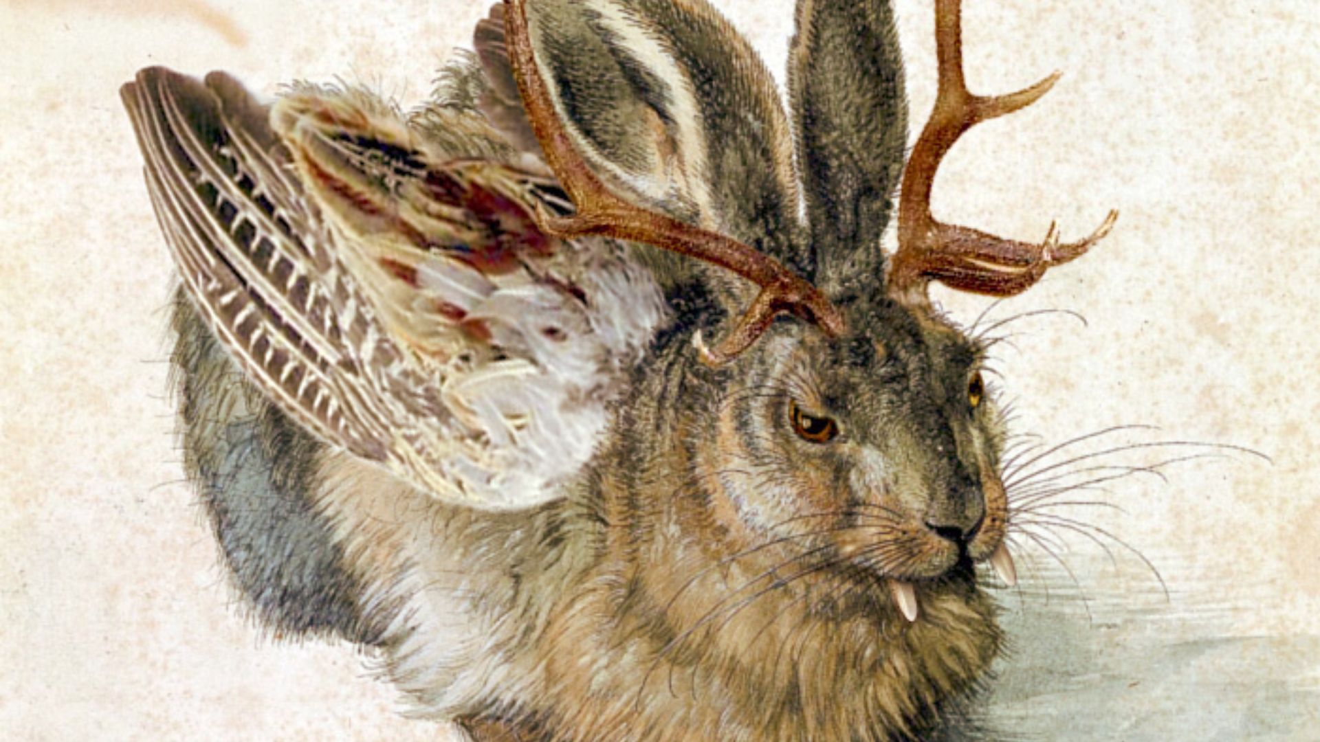 20. Wolpertinger