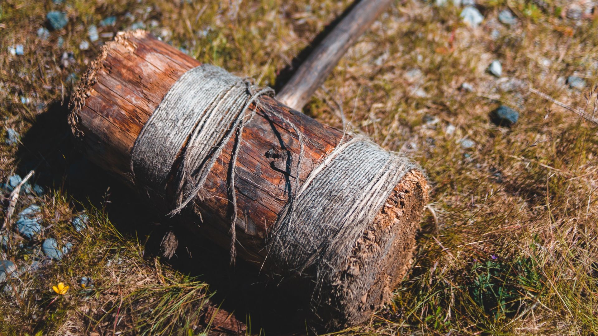 7. Les ennemis pouvaient être tués à coups de massues en bois