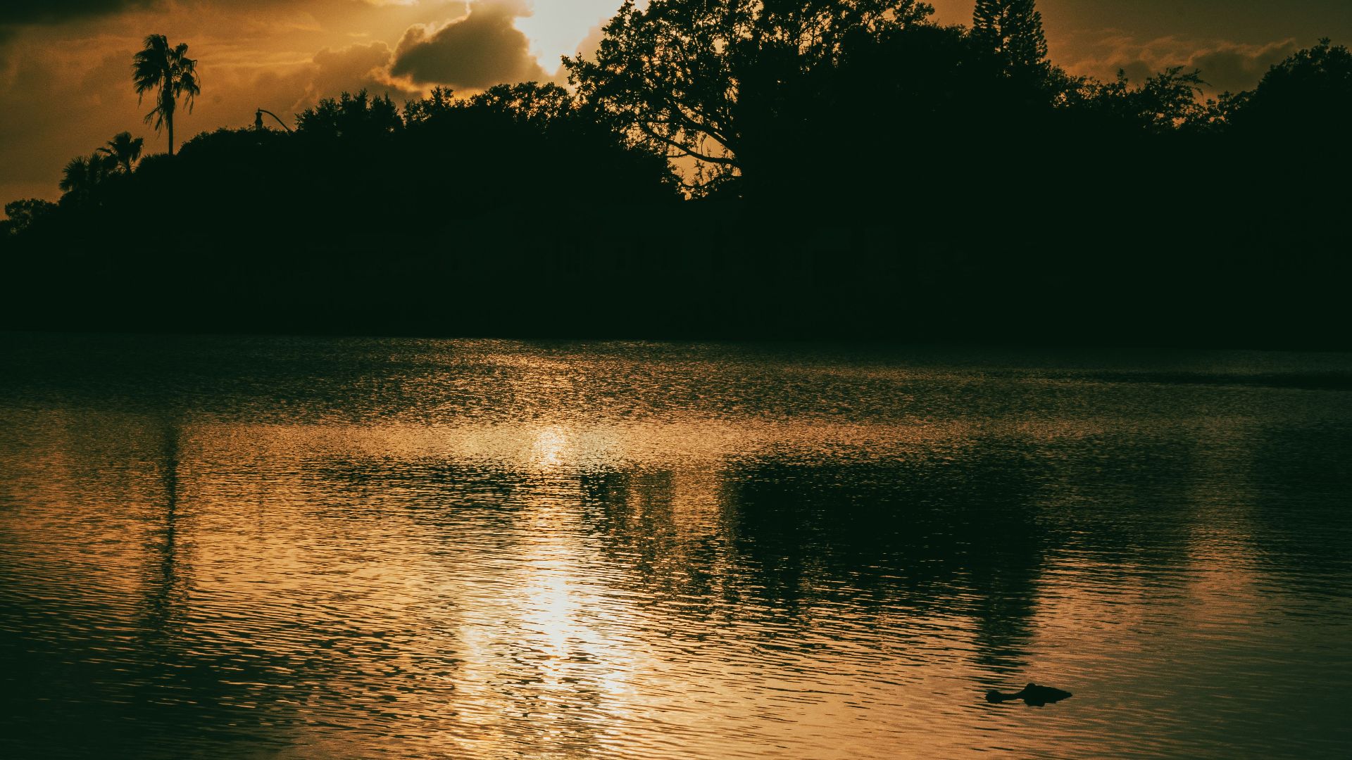 17. La Floride a transformé la rivière Kissimmee en un simple fossé