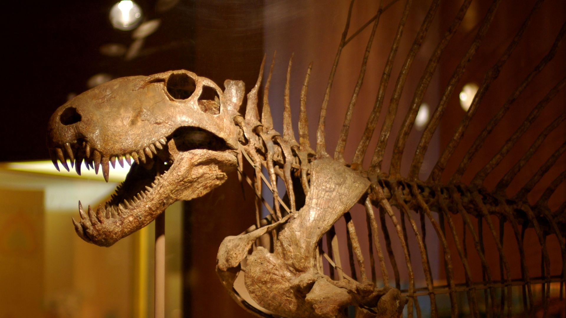 20 Animals That Were at the Top of the Food Chain Before Humans Appeared