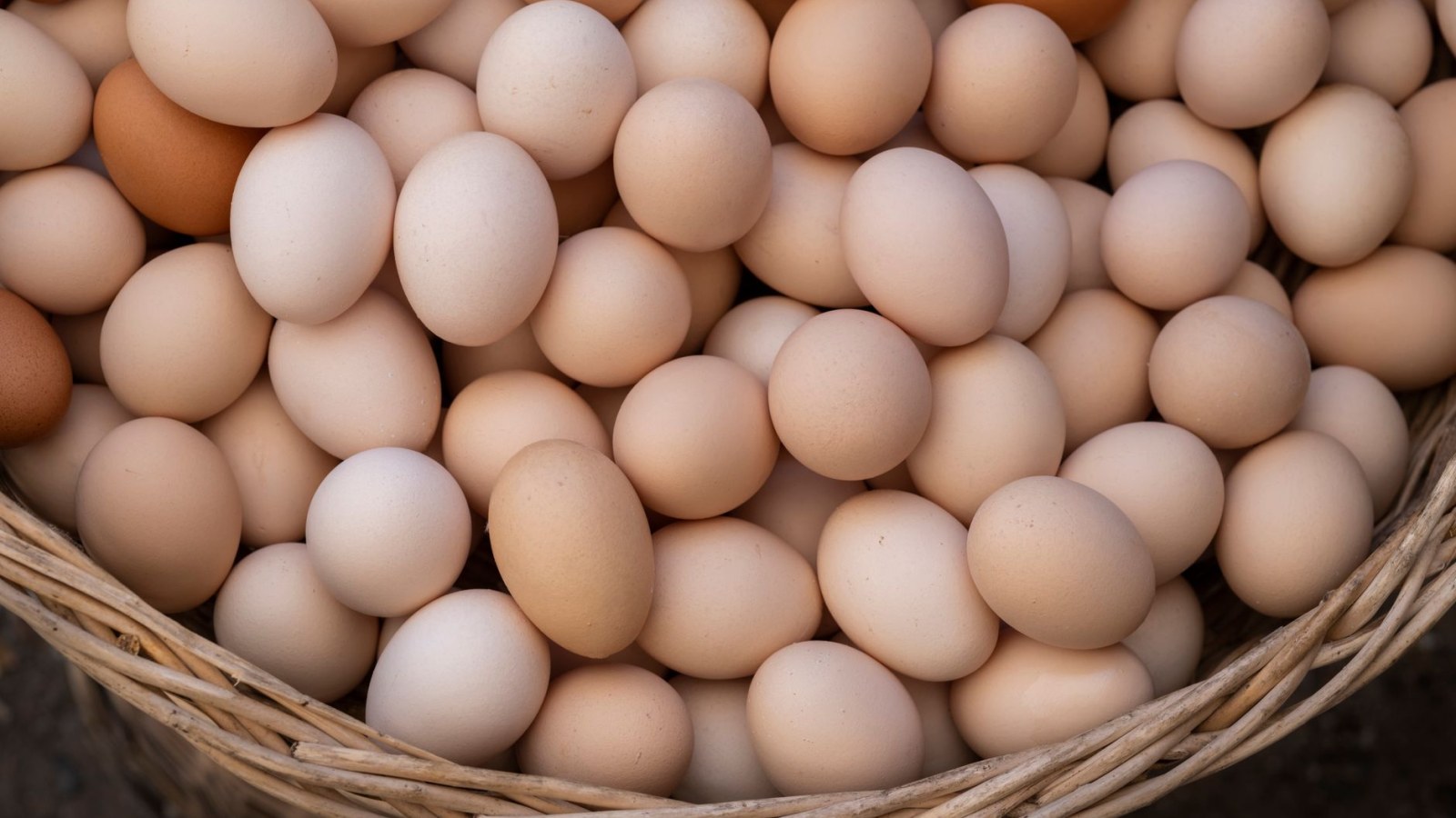 7. A Leeds Con Artist's Hen Laid Eggs Foretelling Christ's Return