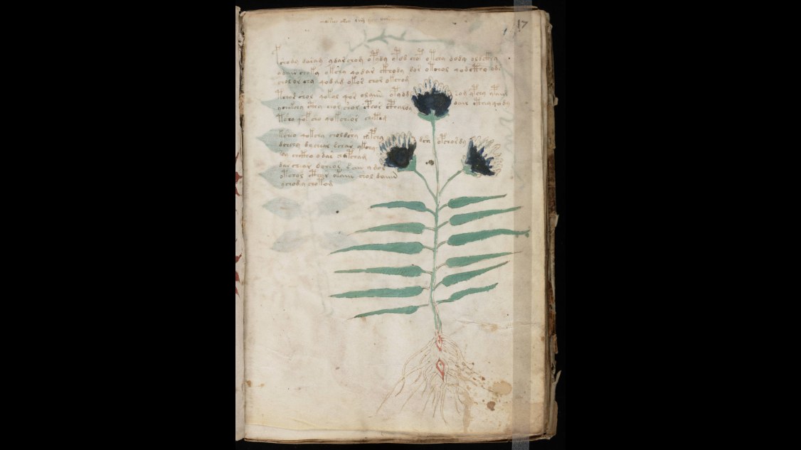 13. Le manuscrit de Voynich est authentique et reste indéchiffré