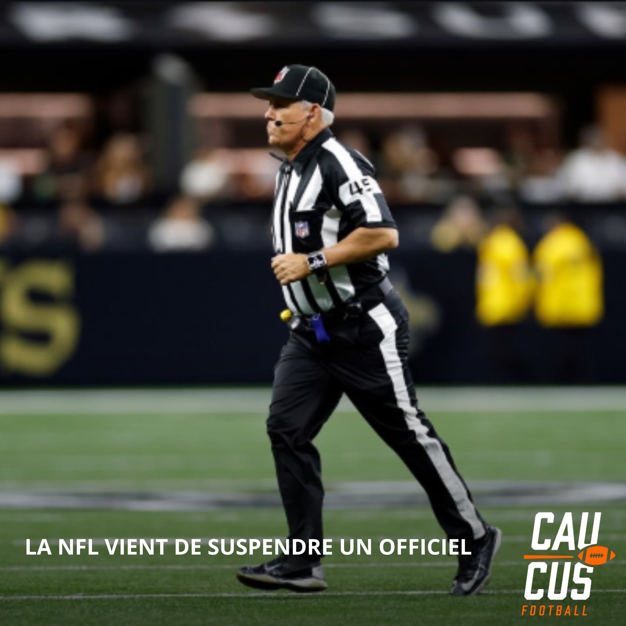 The NFL has just suspended an official