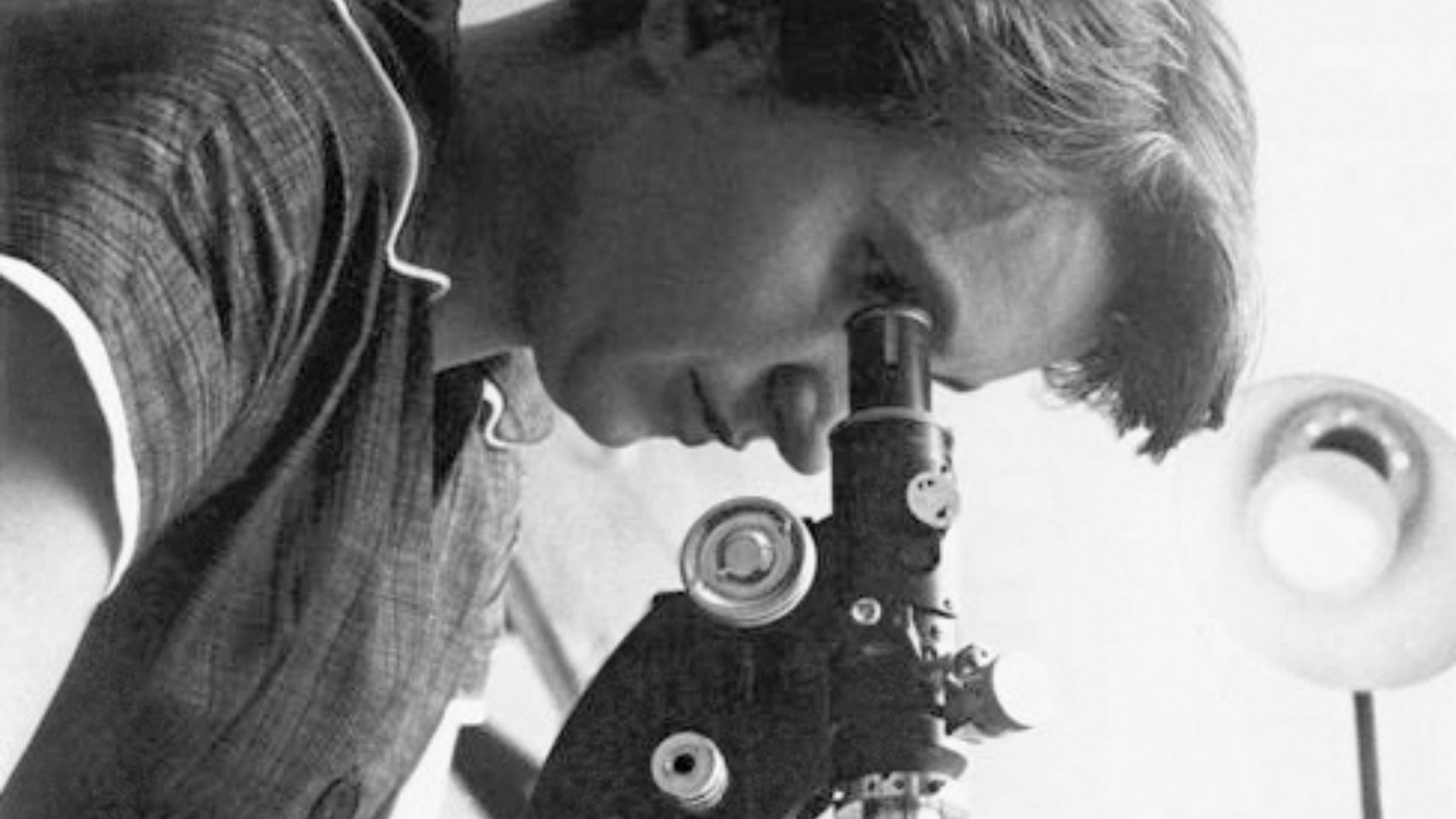 17. Rosalind Franklin, « Photographie 51 »