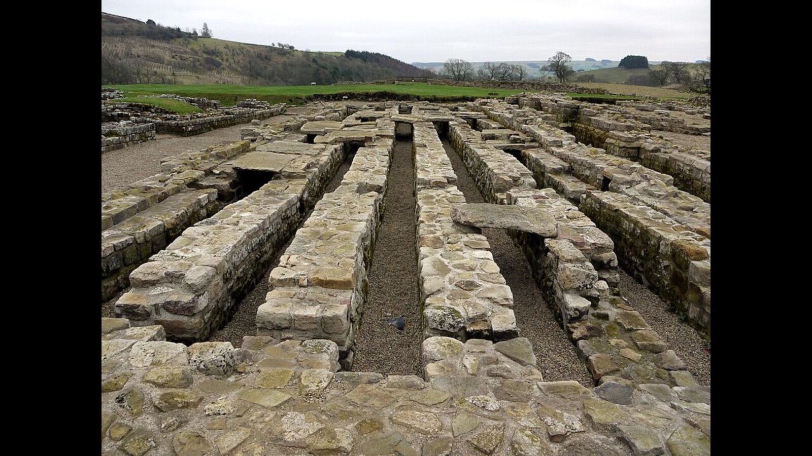 3. "Secundinus The Sh*tter": A Lucky Charm Turned Insult