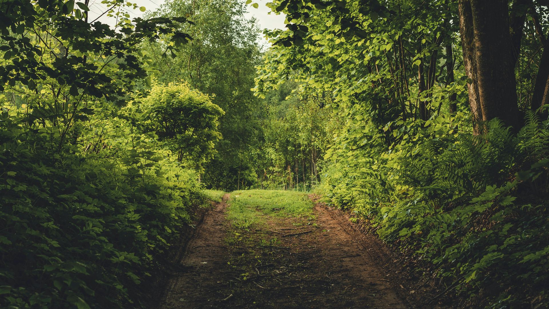 18. Ce bourdonnement qui semblait venir de nulle part
