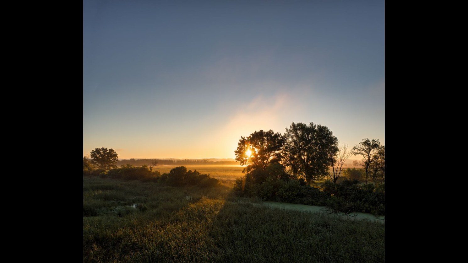 3. Un dimanche des Rameaux ensoleillé apaise les plaines en plein air