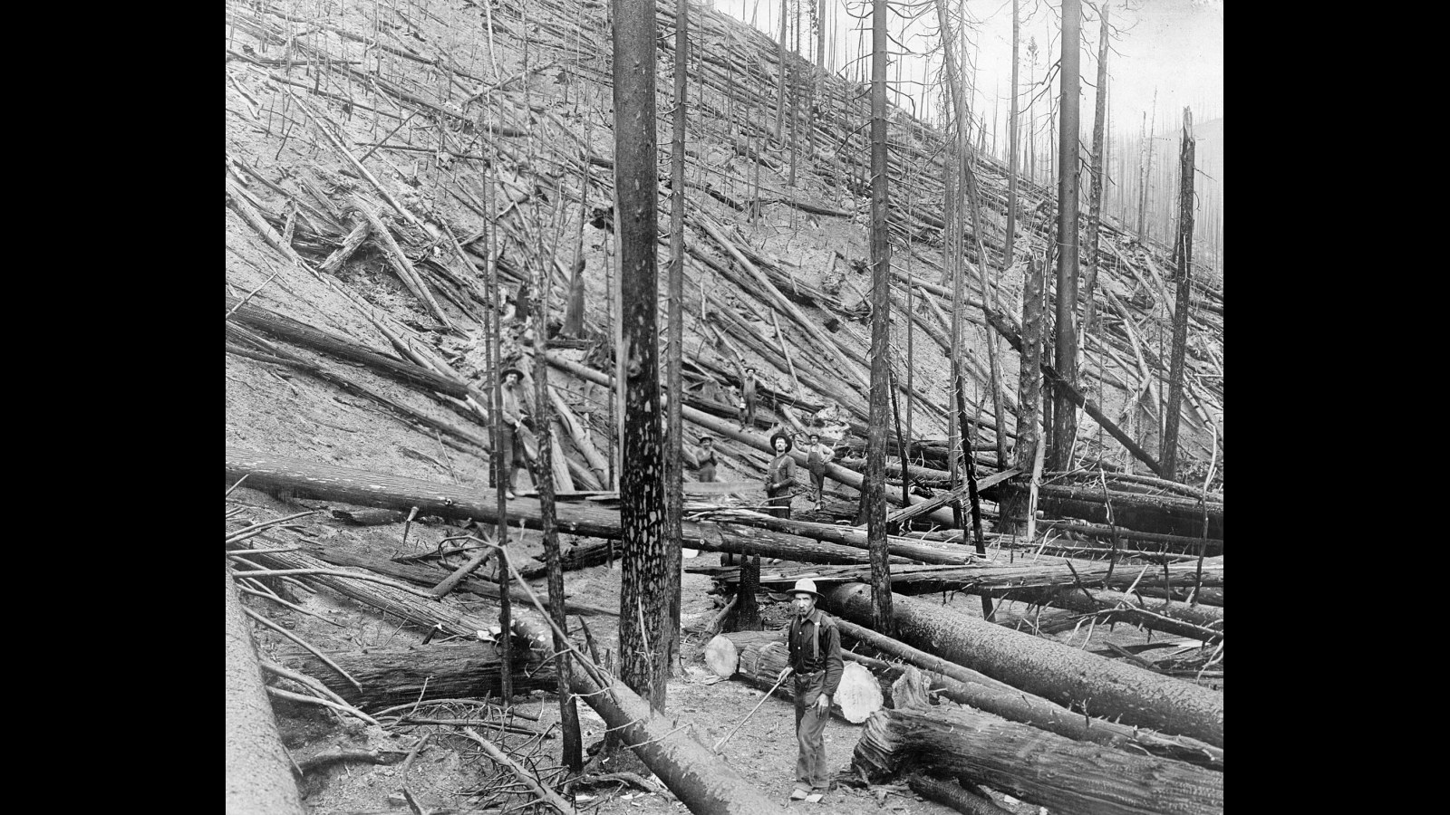 20. Decades Of Perfect Firefighting Quietly Built Today's Megafires