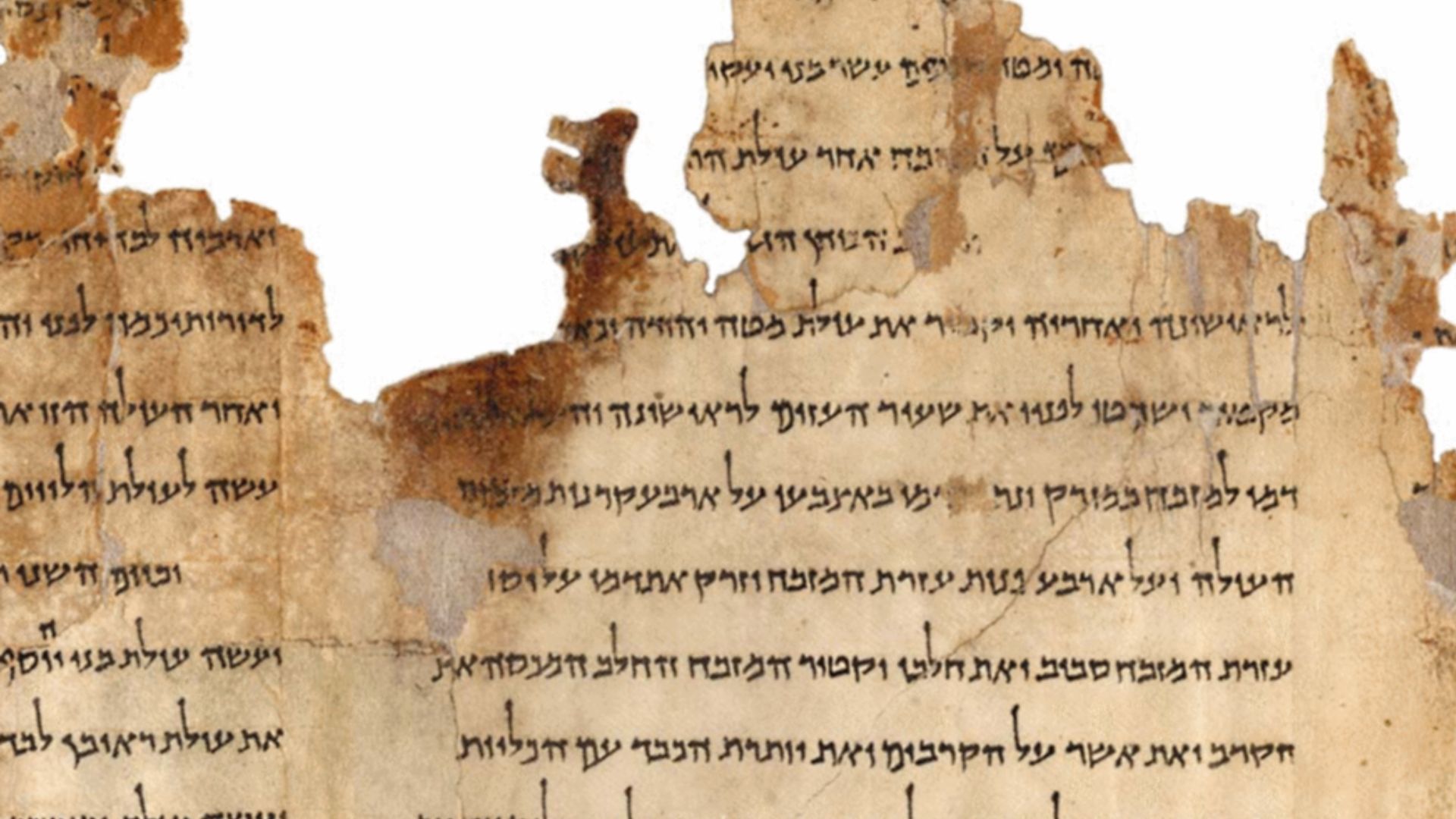 2. Le nettoyage des manuscrits de la mer Morte