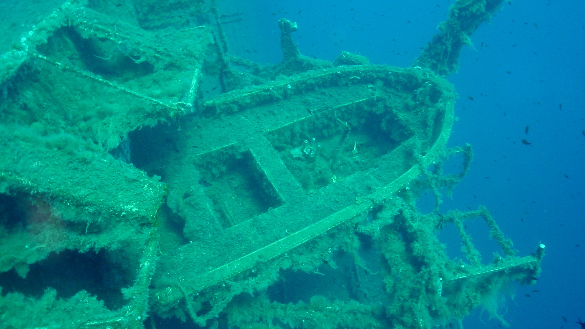 9. MS Zenobia
