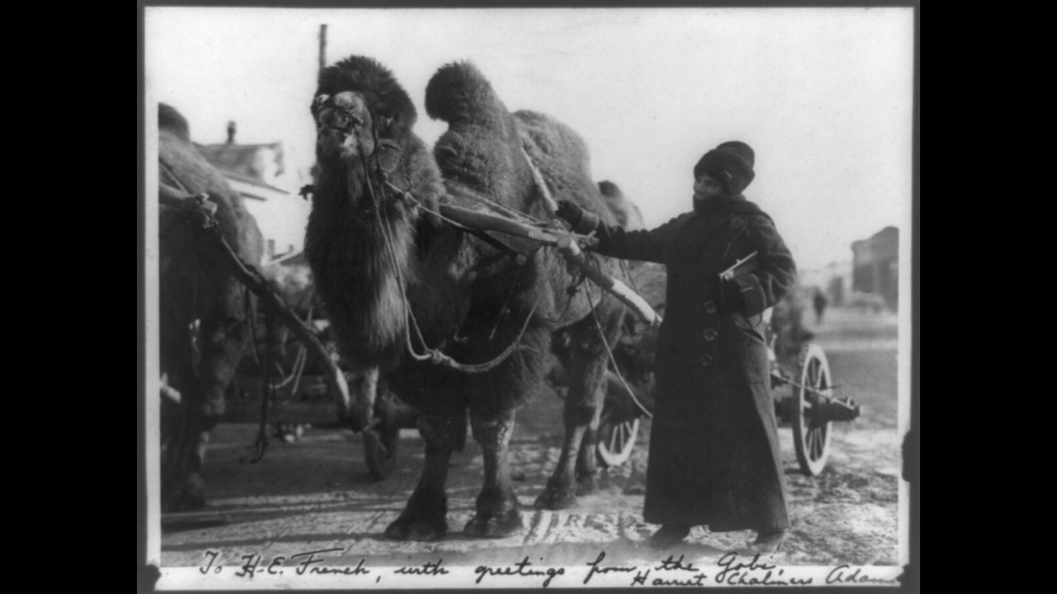 16. Harriet Chalmers Adams a parcouru 40 000 miles à travers l'Amérique du Sud