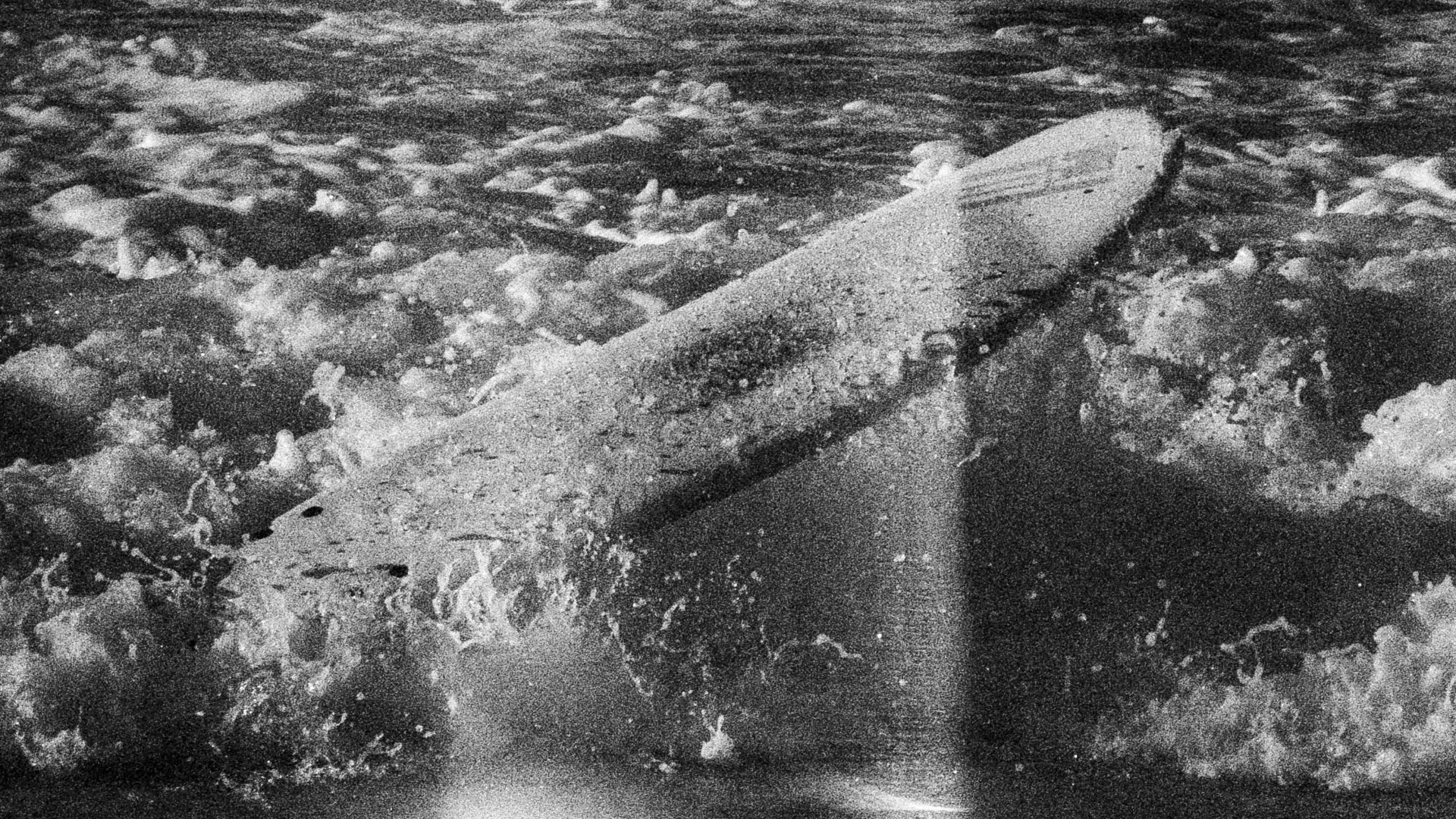 14. La vague des dirigeables de 1909