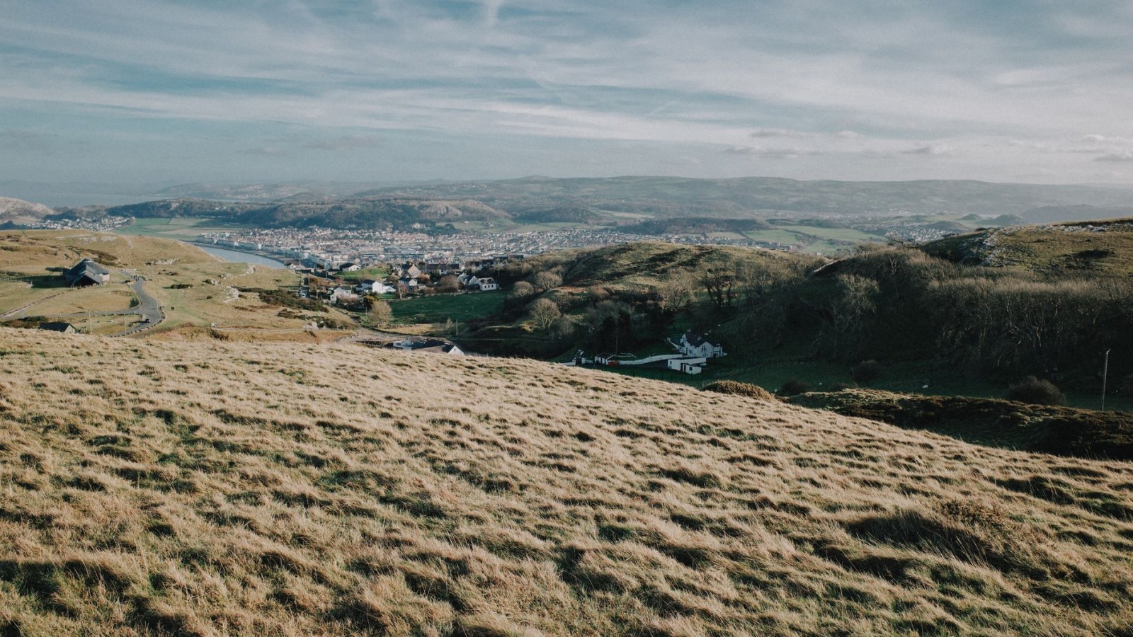 6. Dr. William Price Became Wales's Self-Declared Druid And Changed British Law