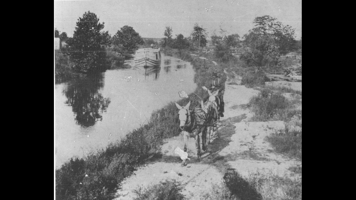 17. Mule Drivers Towed Barges Down The Canal For 15 Hours Straight