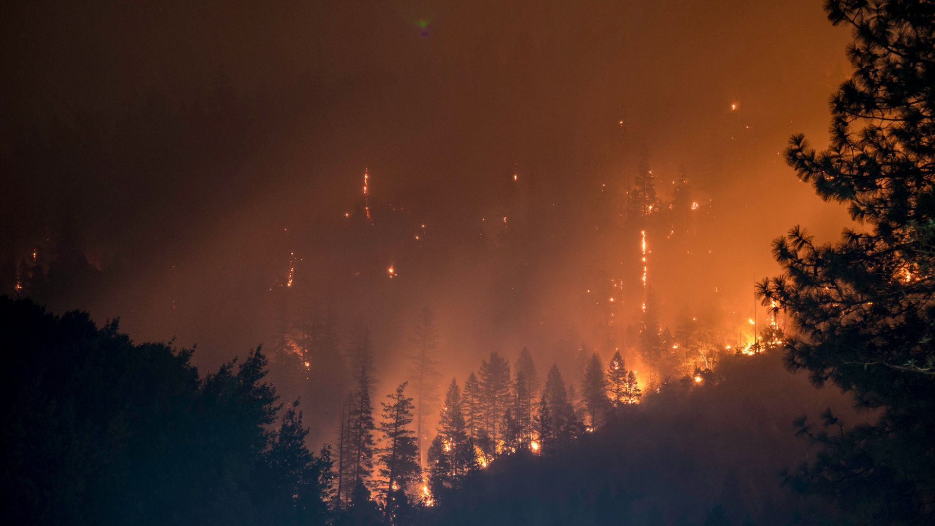 16. Un siècle de lutte contre les incendies a créé les conditions propices aux méga-incendies