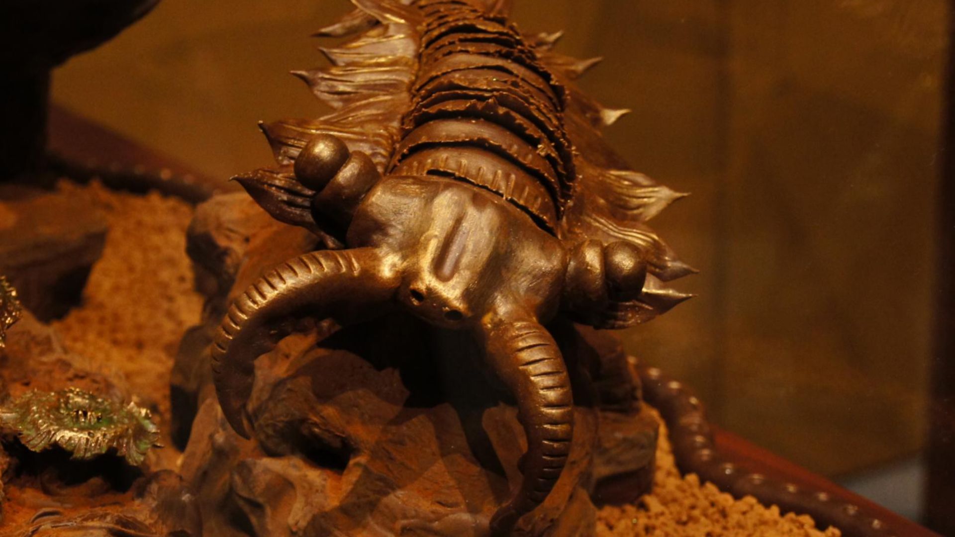 1. Anomalocaris
